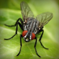 /album/nelly-valenzuela/photolia-a01-jpg/