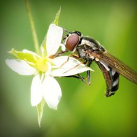 /album/nelly-valenzuela/photolia-a02-jpg/