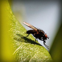 /album/nelly-valenzuela/photolia-a04-jpg/