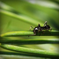 /album/nelly-valenzuela/photolia-a05-jpg/