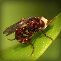 /album/nelly-valenzuela/photolia-a06-jpg/