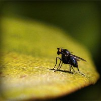 /album/nelly-valenzuela/photolia-a07-jpg/