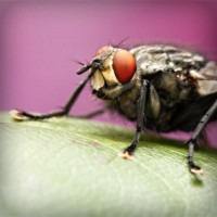 /album/nelly-valenzuela/photolia-a08-jpg/